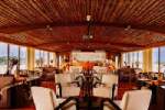 Delfin III Gallery Image
